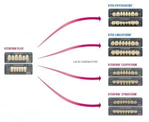 vitapan|VITAPAN® PLUS acrylic anterior teeth